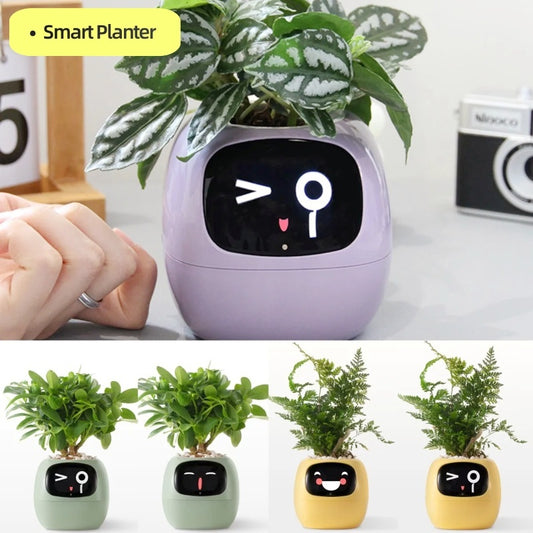 AI Trending Plant Easy And Fun! - CyberLLC