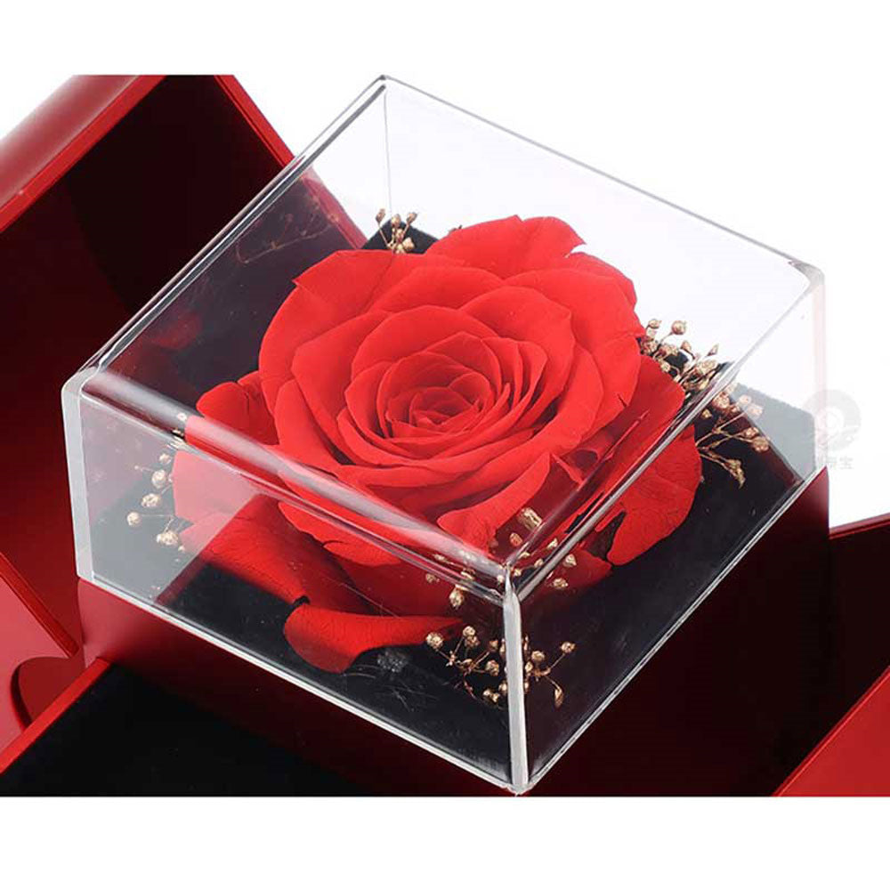 Last Minute Valentine's Gift, Red Apple Jewelry Box with Eternal Rose & Necklace